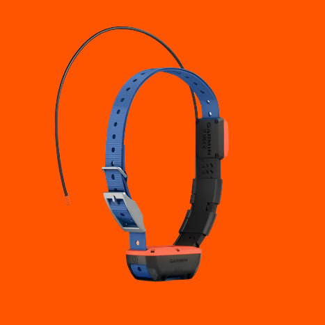 Alpha® T 20 Dog Collar