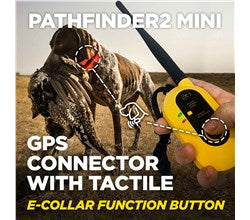 DOGTRA PATHFINDER MINI 2