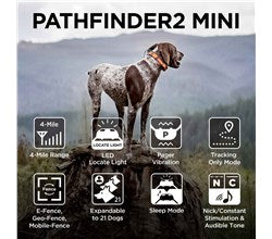 DOGTRA PATHFINDER MINI 2