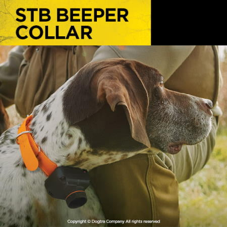 Dogtra STB BEEPER COLLAR - Ringtails and Tall Tales Hunting, Dog Supply, and Taxidermy