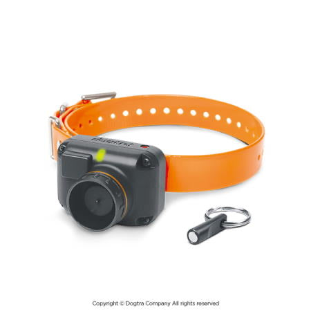 Dogtra STB BEEPER COLLAR - Ringtails and Tall Tales Hunting, Dog Supply, and Taxidermy