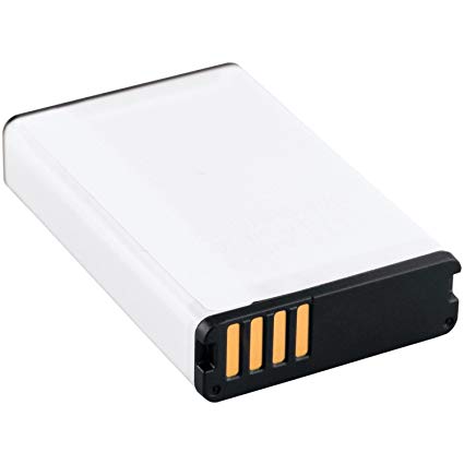 Lithium-ion Battery Pack - Ringtails and Tall Tales Hunting, Dog Supply, and Taxidermy